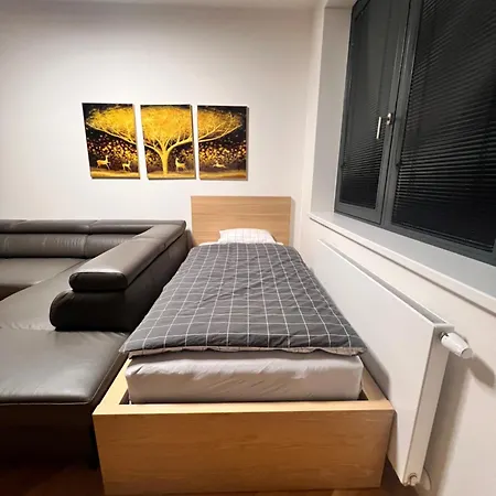 Vikys Apartment *
